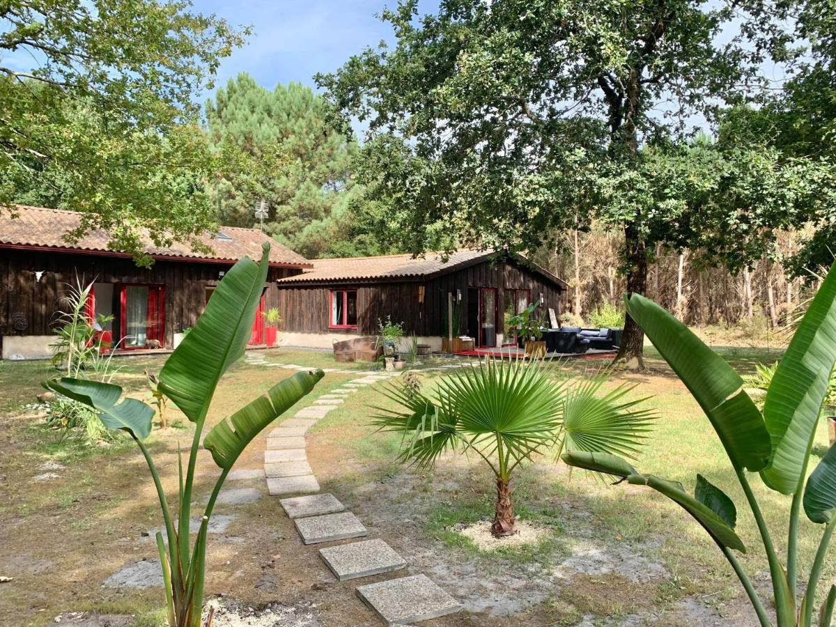 Hacienda De La Canopee Avec Piscine Chauffee Au Sel Hourtin Buitenkant foto