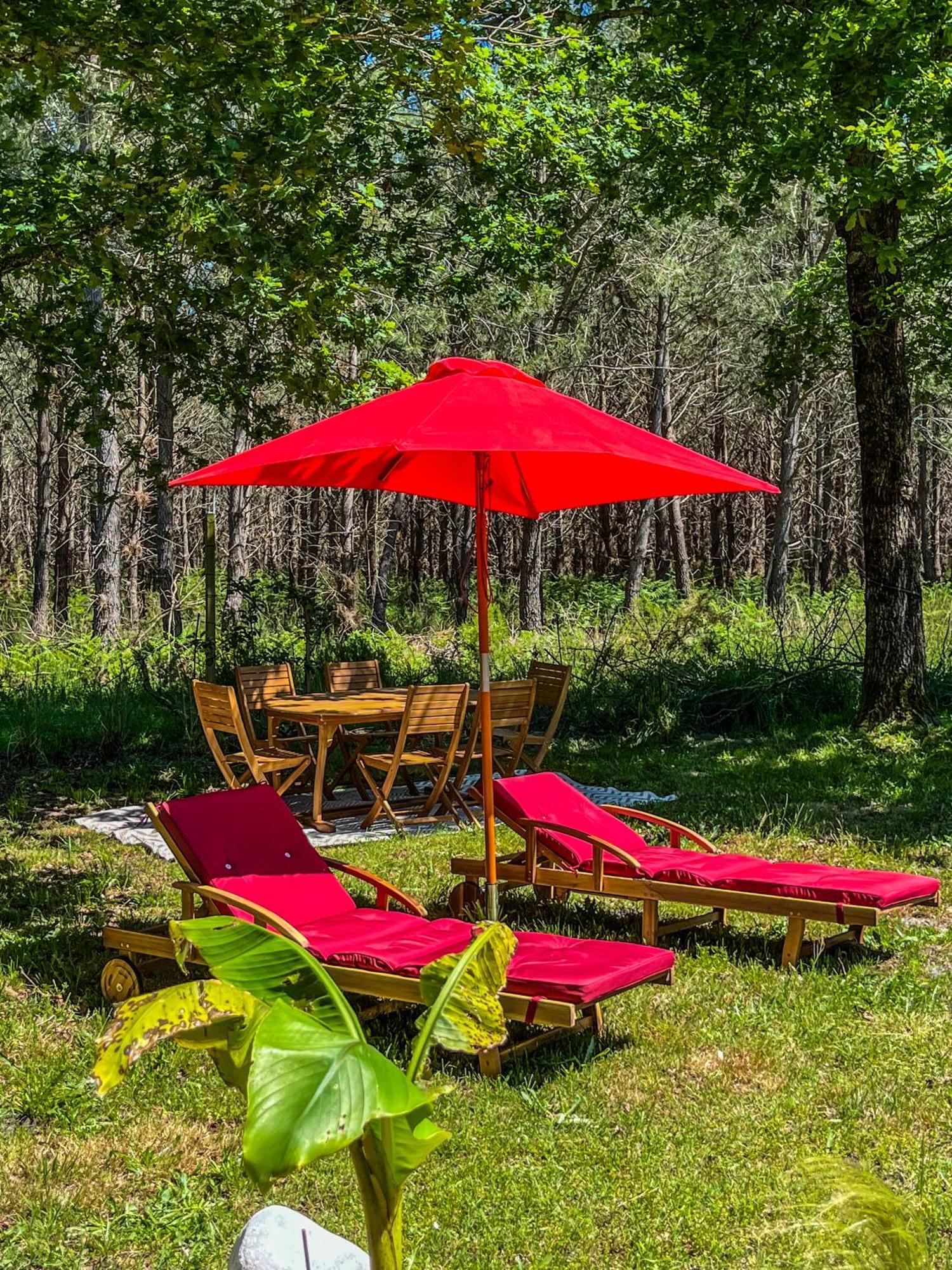 Hacienda De La Canopee Avec Piscine Chauffee Au Sel Hourtin Buitenkant foto