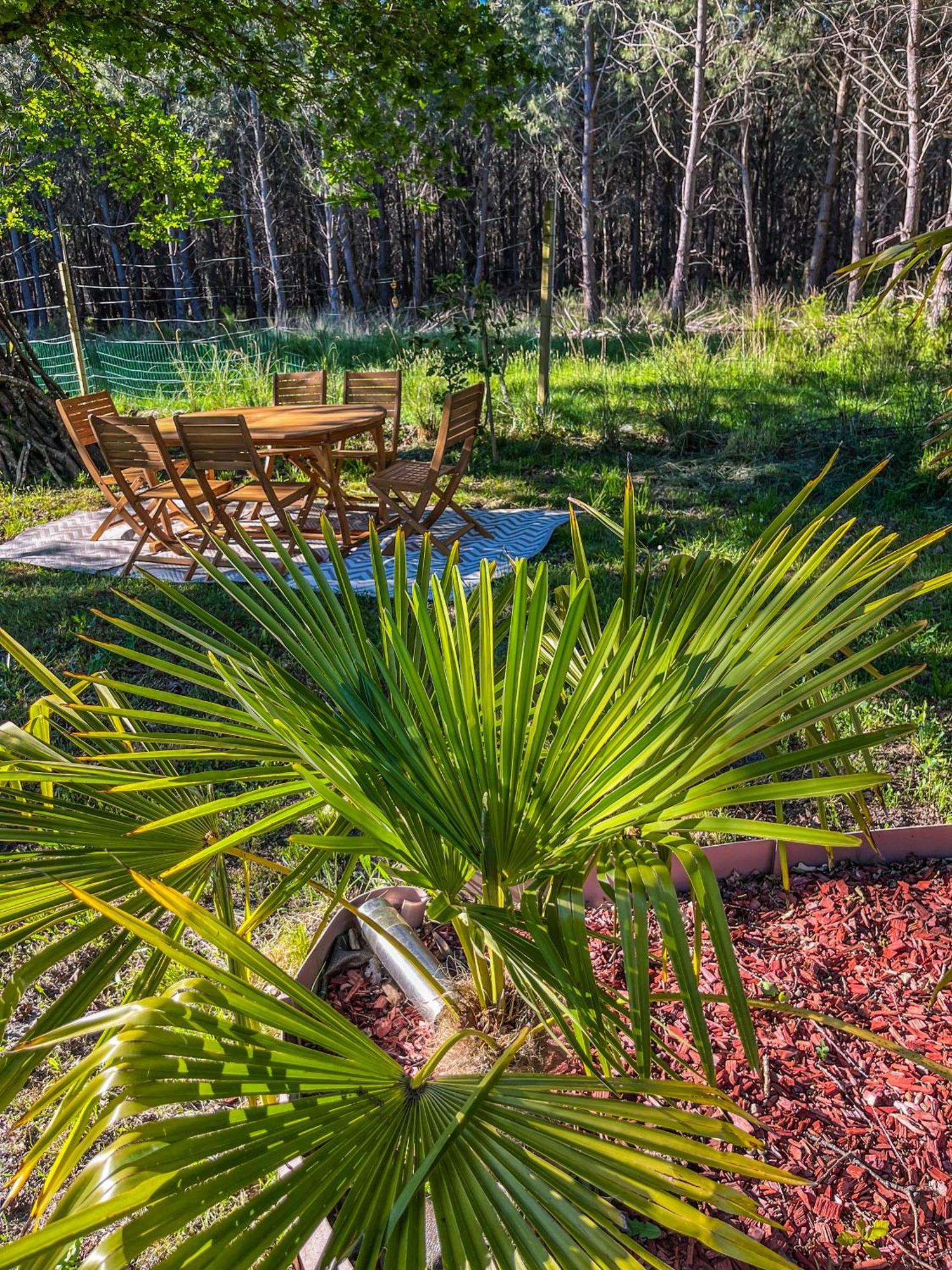 Hacienda De La Canopee Avec Piscine Chauffee Au Sel Hourtin Buitenkant foto