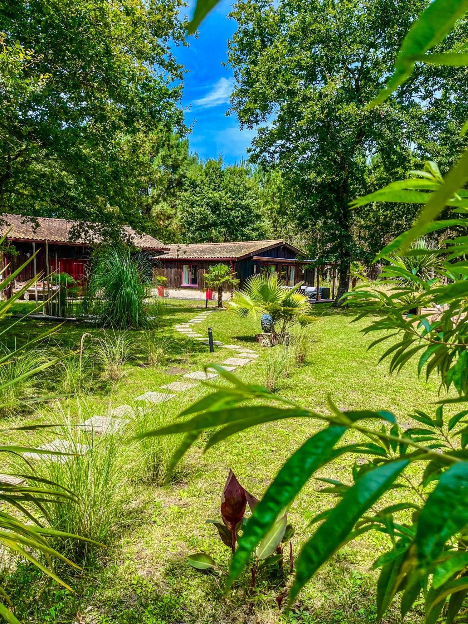 Hacienda De La Canopee Avec Piscine Chauffee Au Sel Hourtin Buitenkant foto